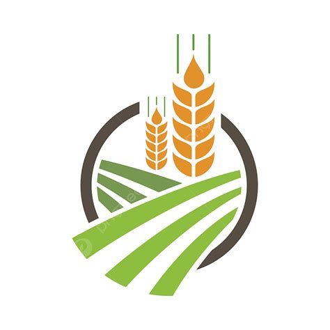 Wheat Circle Clipart Hd PNG Agriculture Wheat Logo Template Vector