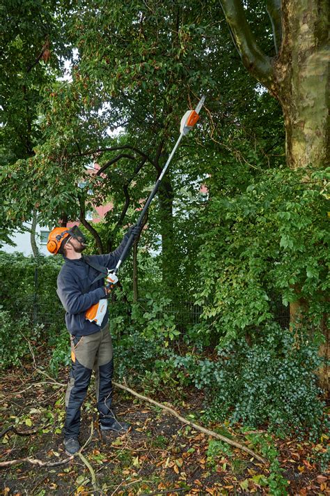 HTA 66 Cordless Pole Pruner AP System STIHL