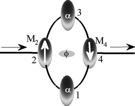 Induced Spin Accumulation And Spin Polarization In A Quantum Dot Ring