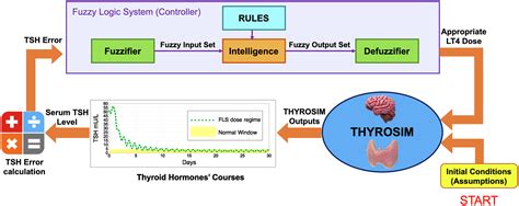 In Silico Dose Adjustment Of Levothyroxine After Total Thyroidectomy