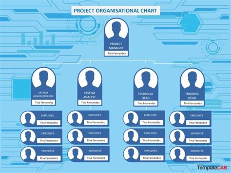 Download Project Organizational Chart | Organizational chart ...