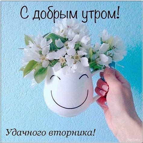 Доброе утро ВТОРНИКА прикольные картинки и красивые открытки