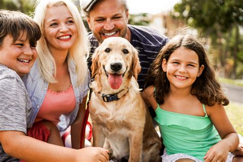 Giornata Mondiale Del Cane Il Agosto Si Celebra Il Miglior