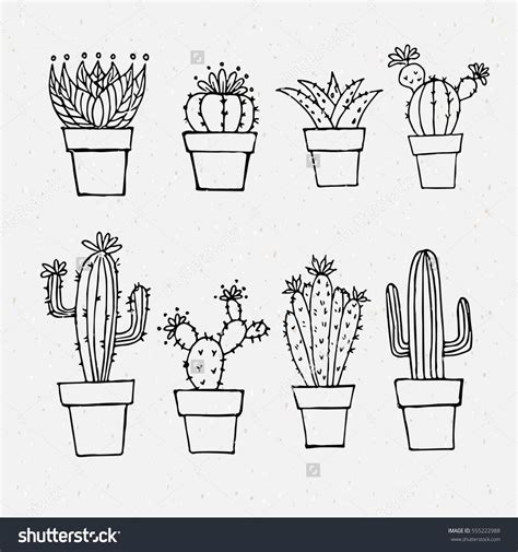 Cactus Outlines Stock Vector Royalty Free 555222988 Shutterstock