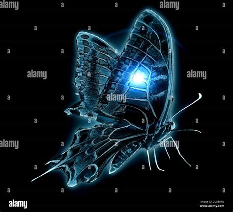 Glowing Butterfly Hi Res Stock Photography And Images Alamy