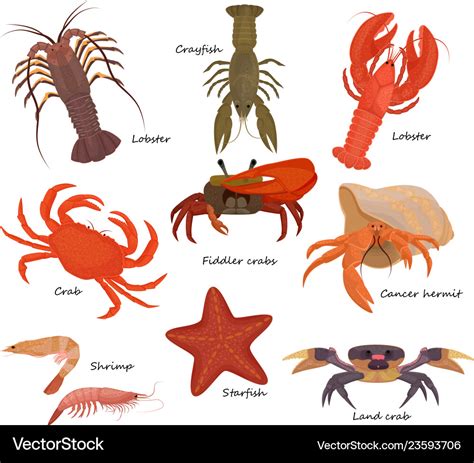 Crustaceans List