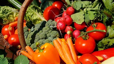 Huerto Urbano Estas Son Las Verduras Que Puedes Plantar Durante El Mes