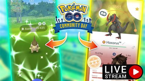 Pok Mon Go Live Shiny Axew Community Day Pok Mon Go Shundo Hunt