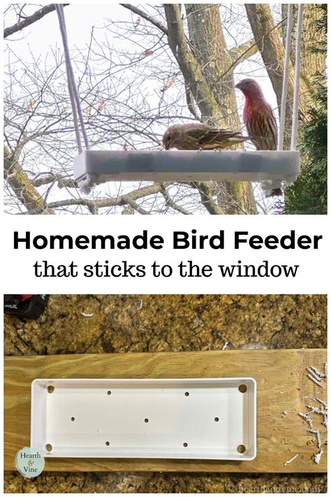 Make a Bird Feeder that Sticks to the Window | Hearth and Vine