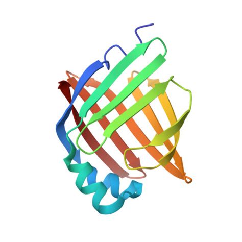 RCSB PDB 7FVX Crystal Structure Of Human FABP4 In Complex With 4 1