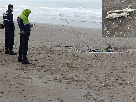 Cn Noticias Mar De Ajó Aparecen Restos Humanos En Playas De Mar De Ajo