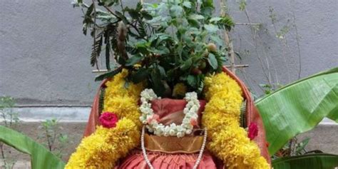 Tulsi Vivah 2023 Significance Shubh Muhurat And Everything You Need To