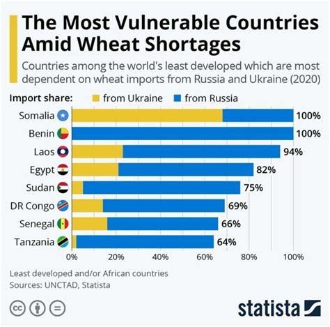 Ukraine War The Countries Most At Risk Of Wheat Shortages World