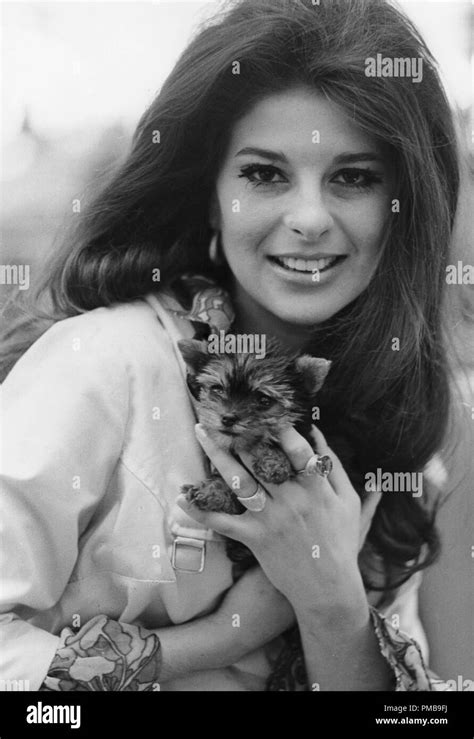 Bobbie Gentry 1968 © Jrc The Hollywood Archive All Rights Reserved