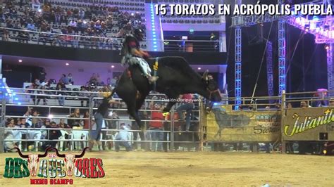 Nuevos Toros De Rancho Los Destructores En Acr Polis Puebla Youtube