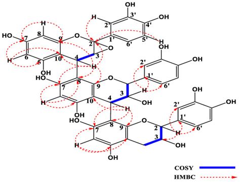 Molecules Free Full Text In Vitro Evaluation Of Amylase And