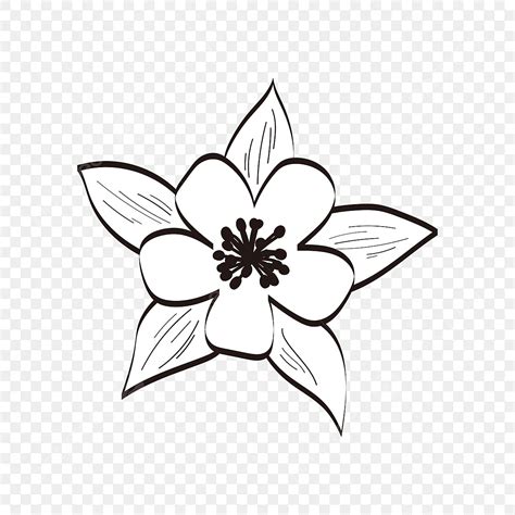 Blumen Clipart Schwarz Und Wei Schwarz Und Wei Blume Linie Png Und