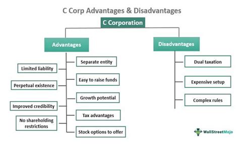 C Corporation Advantages