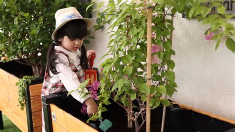 5 Holistic Learning Activities To Boost Your Childs Development