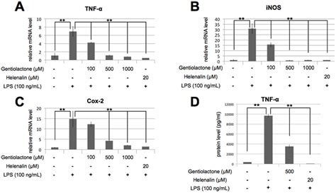 Gentiolactone Inhibits Lps Induced Tnf Mrna Expression Raw