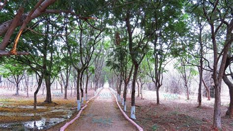 Kandlakoya Oxygen Park Hyderabad Walks India Walks Walk4health