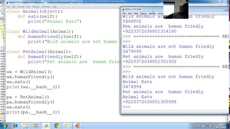 177 Python Inheritance Hierarchical Program Python Programming Tutorial