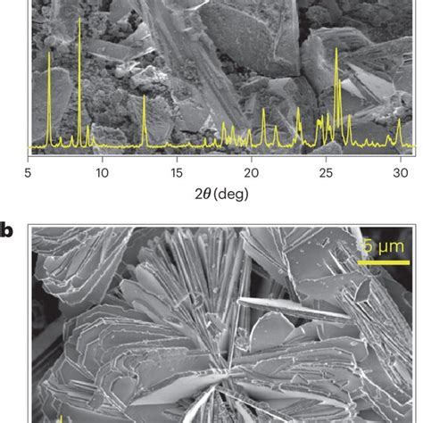 Pxrd Patterns And Sem Images A Product A B Product B Crystals With