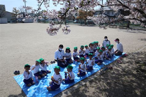 お花見ピクニック♪｜まんまるこども園ブログ御南まんまるこども園