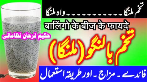 Tukhm E Malanga Benefits Tukh Malanga Ke Fayde Benefits Of Basil