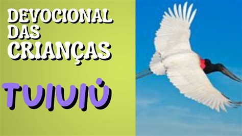 TUIUIÚ Devocional das crianças pequeno curiosos 05 09 2023 YouTube