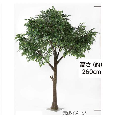 新版 造花観葉植物専門店ビワールデコ大型サイズ ベンジャミンの木 高さ 300cm 3本株立 半円タイプ 人工観葉植物 造花 インテリア 植栽