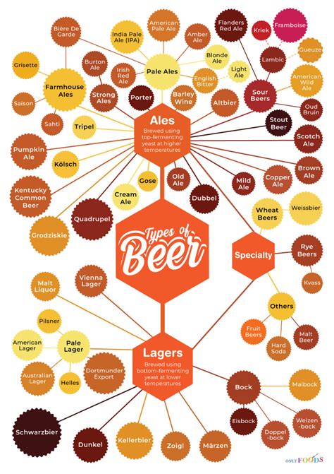 Different Types of Beers: Ales, Lagers, & More (With Pictures)