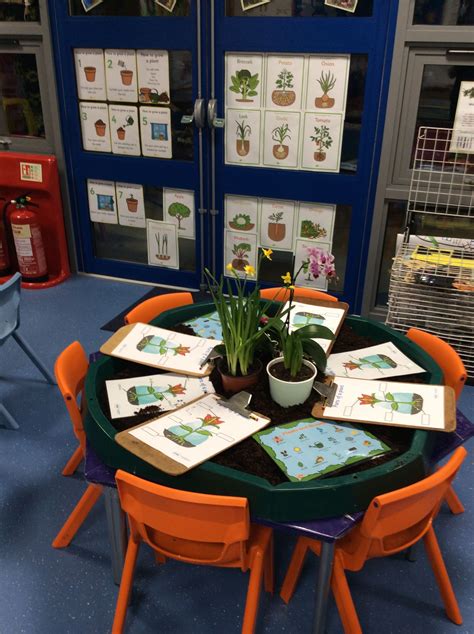 Eyfs Once Upon A Time Theme Understanding The World Provision Plant