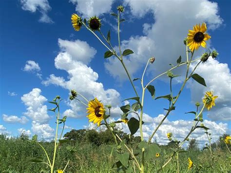 Llega La Onda De Calor Que Durará Hasta El 5 De Febrero Ar