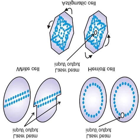 Example Of Commonly Used Optical Multipass Cell Download Scientific Diagram