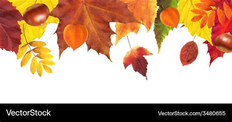 Autumn leaves border Royalty Free Vector Image