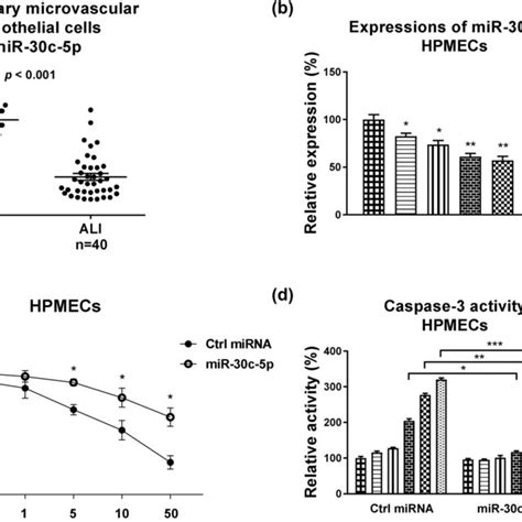 MiR 30c 5p Protects The LPS Induced Apoptosis Of HPMECs A Primary