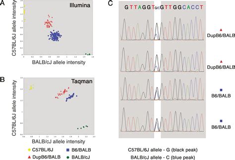 Genomic Copy Number And Expression Variation Within The C57bl6j Inbred Mouse Strain