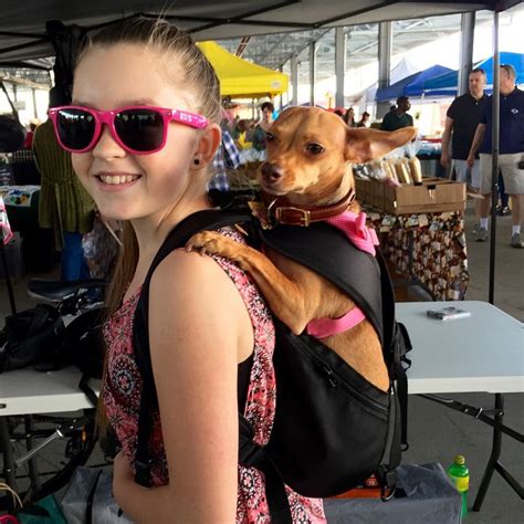Ruffit Dog Carrier Backpack Carry Your Dog On Your Back