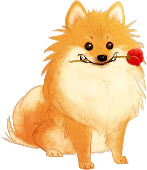 Charming Pomeranian Изображения собак Иллюстрации с животными