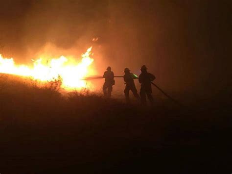 Devasta Mil 200 Hectáreas Incendio Forestal Noticias De Sonora El