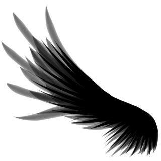 Wings PNG, Wings Transparent Background - FreeIconsPNG