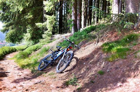 Ausfl Ge Im Schwarzwald Hohwarthof Urlaub Auf Dem Bauernhof In