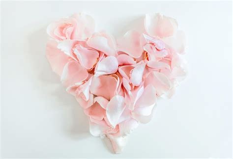 Premium Photo Heart Made Of Rose Petals Top View White Background