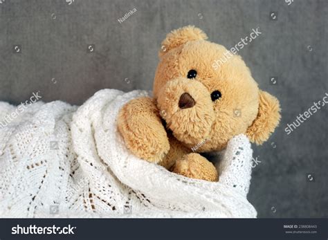 Good Night Bear Pictures