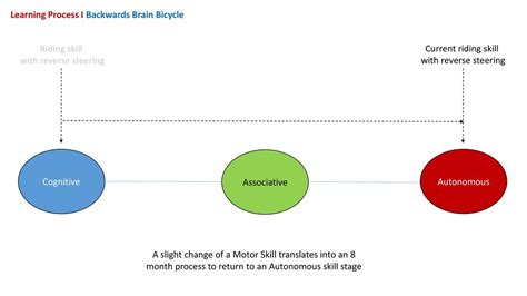 Learning Process I Fitts And Posner Ppt Download