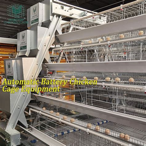 Best Price A Type 4 Tiers Poultry Farm Egg Laying Battery Layer Automatic Chicken Cages For Sale