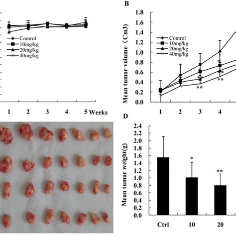 KuA Inhibits Human Glioblastoma Growth Initiated From WJ1 Cells In