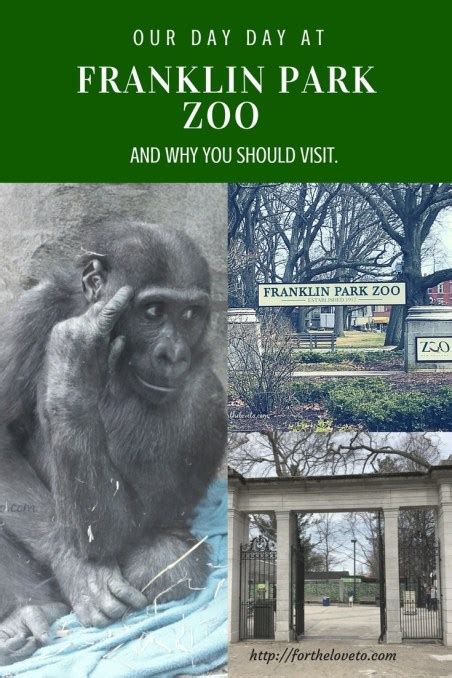 Our Day At Franklin Park Zoo And Why You Should Visit - For The Love To