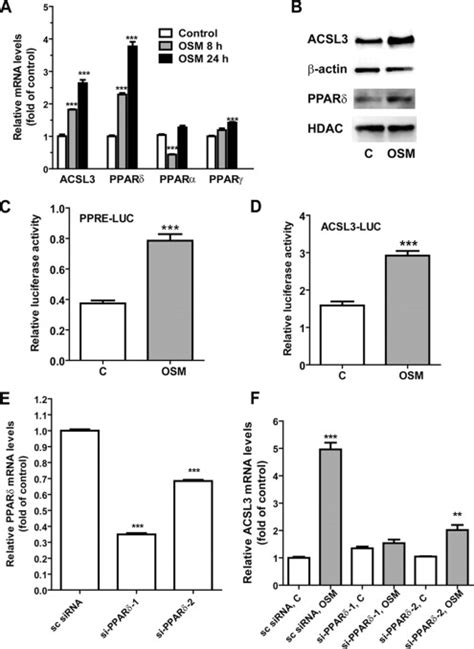 Long Chain Acyl Coa Synthetase 3 Is A Molecular Target For Peroxisome